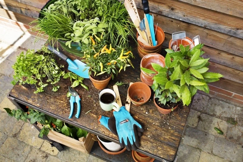 Работы на участке с 26 мая по 1 июня 2025 года согласно лунному календарю для садоводов и огородников